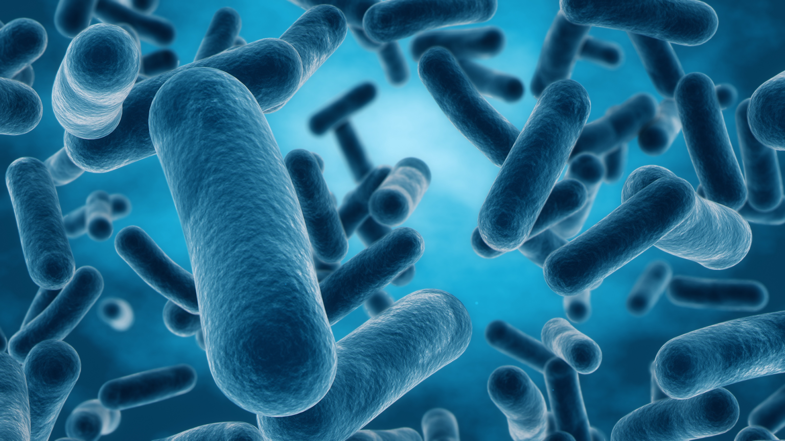 Bacteria - AnimalhealthEurope