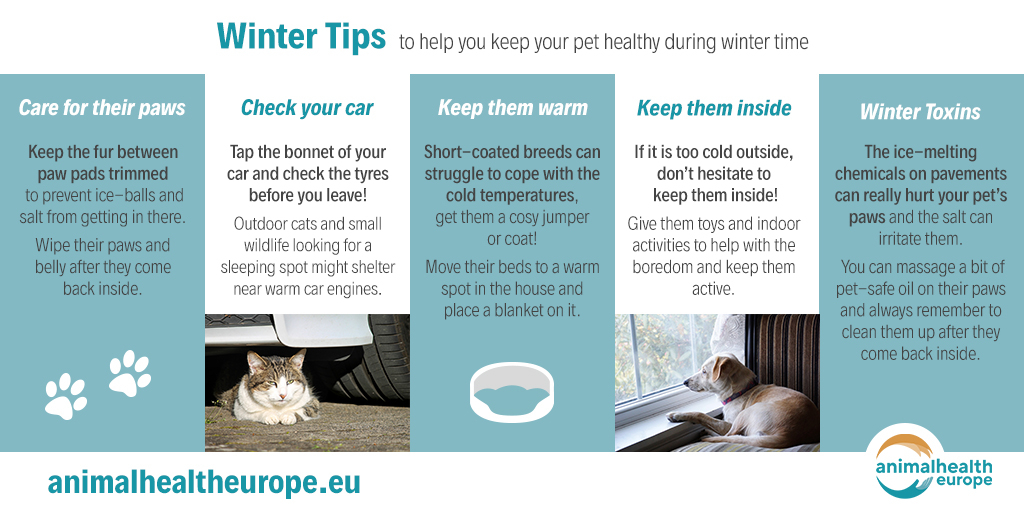 Winter weather tips